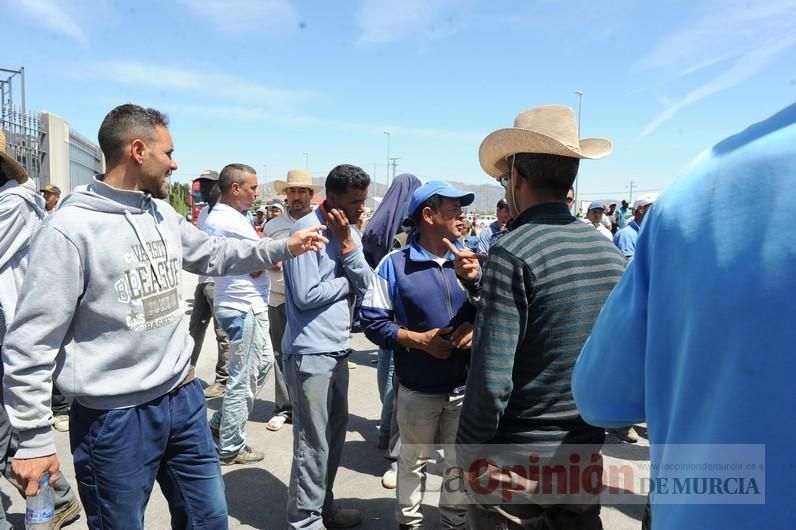 Protesta hortofrutícola en una empresa de El Raal