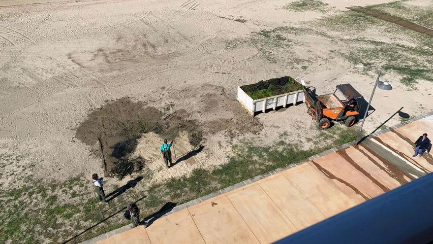 Operarios trabajando en la retirada de algas en la playa de Composela.  |  // FDV