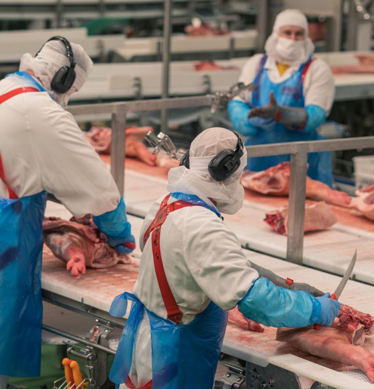 Les companyies d’aliments malgasten 6,5 quilos de productes per tona Les companyies d’aliments malgasten 6,5 quilos de productes per tona