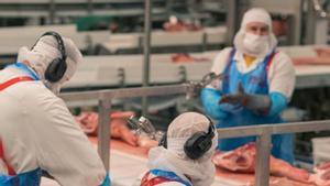 Les companyies d’aliments malgasten 6,5 quilos de productes per tona