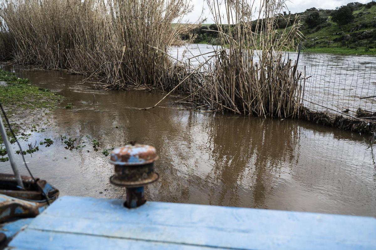 Galería | Estado del Marco tras el desembalse del Guadiloba en Cáceres