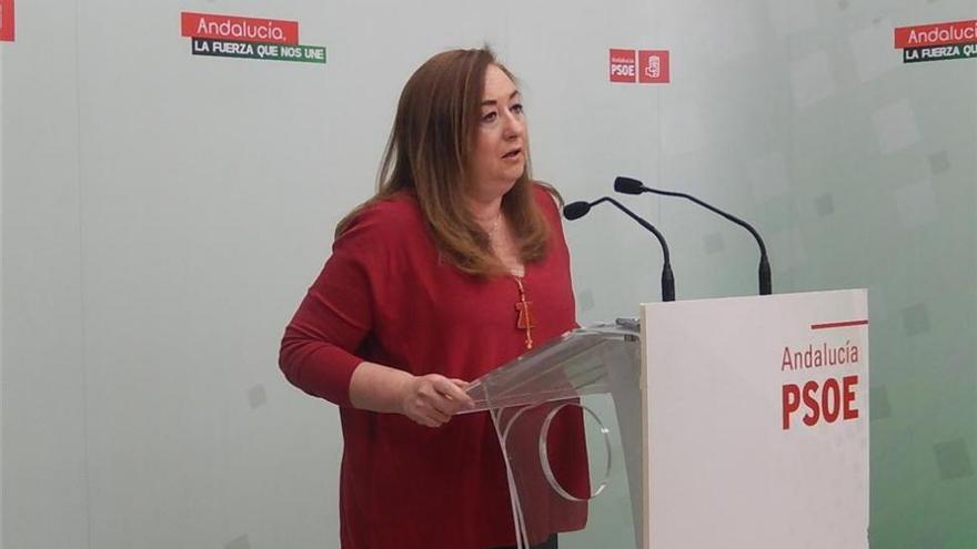 El PSOE de Córdoba reclama al futuro Gobierno que recupere la Ley para la Igualdad