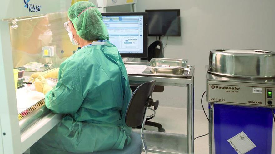 Una empleada trabajando en una cabina de seguridad biólogica de la farmacia de Son Espases.