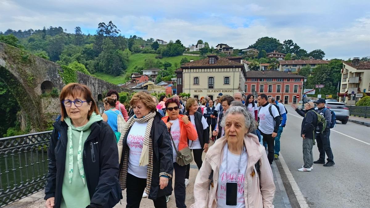 MARCHA CONTRA EL CÁNCER | La IX Marcha solidaria de Rosa Palo contra el ...