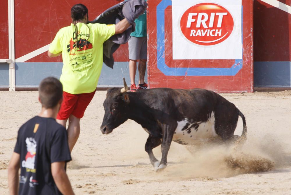 Correbou de Vidreres