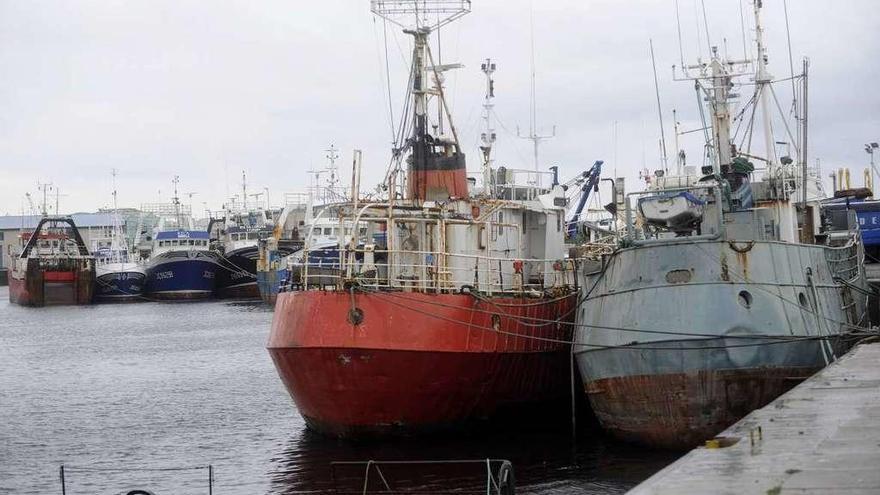 La flota coruñesa amarrada en el muelle de Oza.