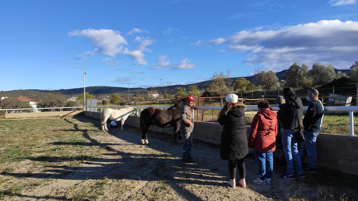 Imagen de una de las sesiones de la terapia con caballos