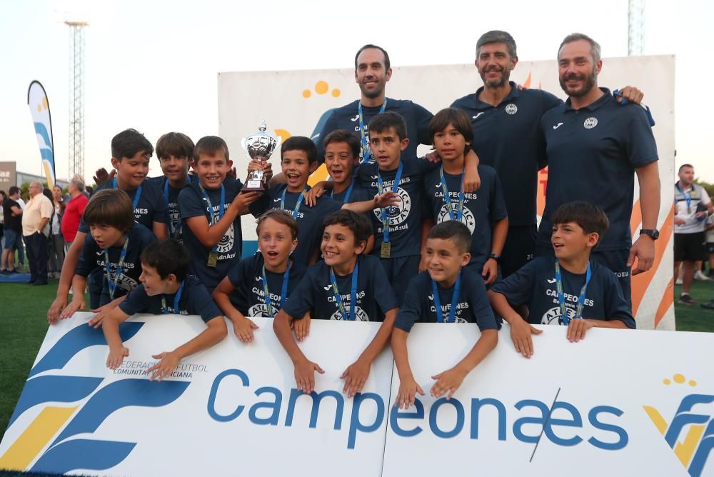 Campeones futbol 8