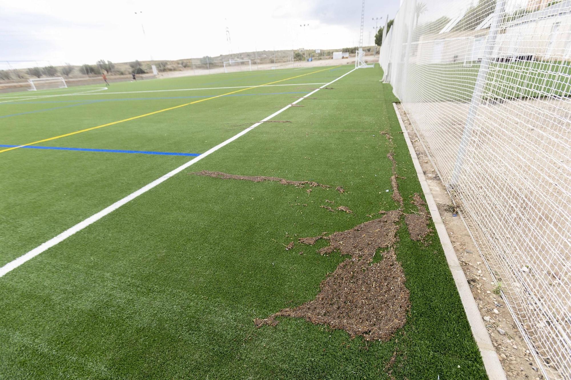 San Gabriel reclama la apertura del campo de La Cigüeña tras el fin de las obras
