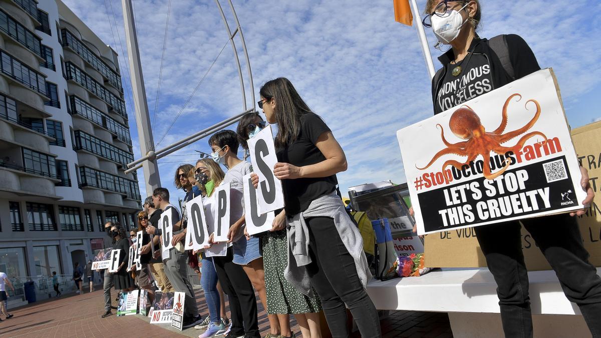 Manifestación en Las Canteras en contra de la granja de pulpos proyectada en el Puerto de La Luz