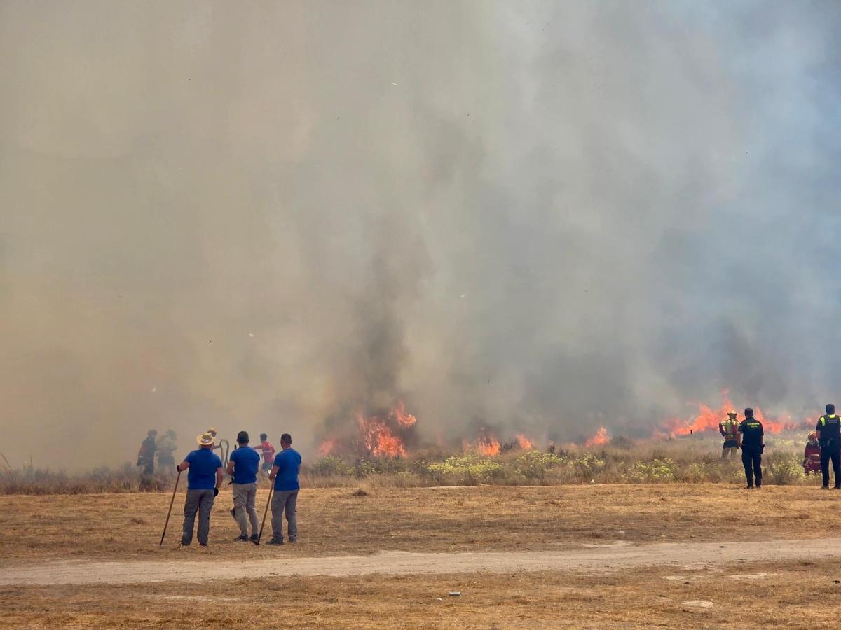 Las imágenes del incendio declarado en el cauce del río Vinalopó en pleno casco urbano de Sax Las imágenes del incendio declarado en el cauce del río Vinalopó en pleno casco urbano de Sax