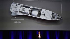 epress-20180914-primer-turista-espacial-para-la-spacex