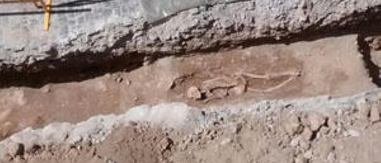 Hallan dos esqueletos de época musulmana y nuevos restos romanos en Sagunt