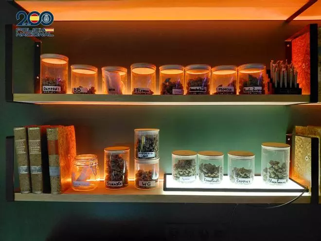 Desarticulan una organización criminal