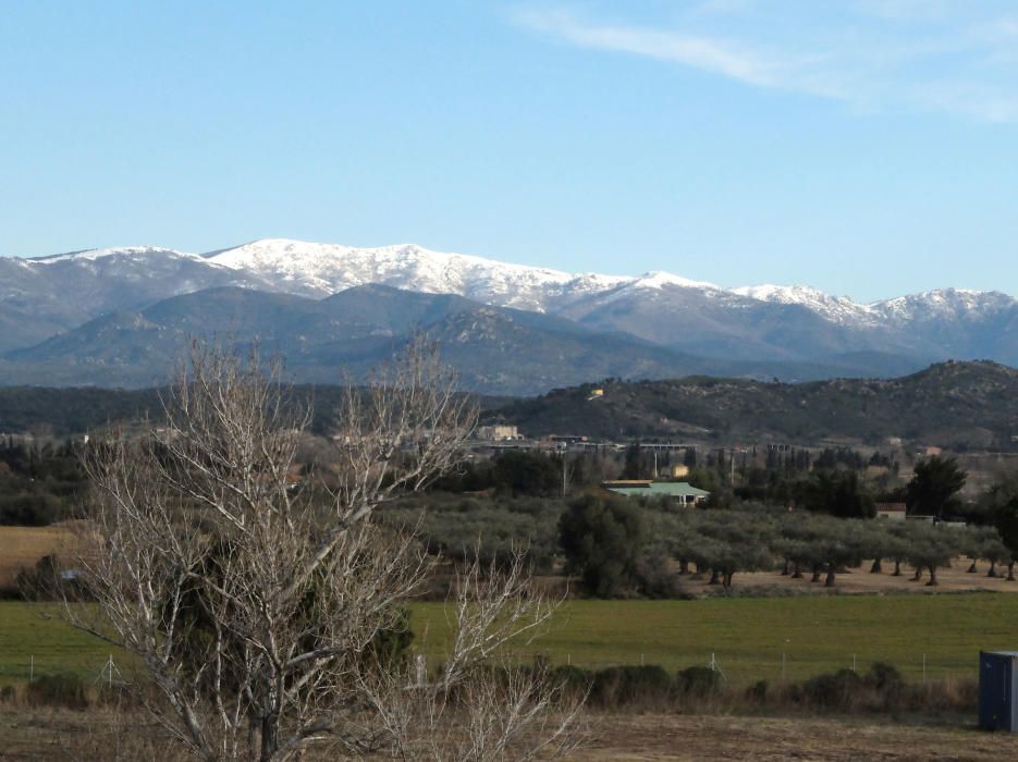 Neu a l'Albera