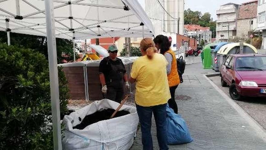 Último reparto de compost en la calle Daniel Castelao. // G.N.