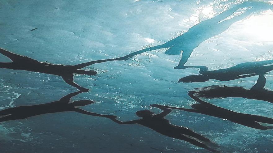 Miembros de la delegación de la Organización Mundial del Turismo nadan en el Mar de las Calmas, en El Hierro.