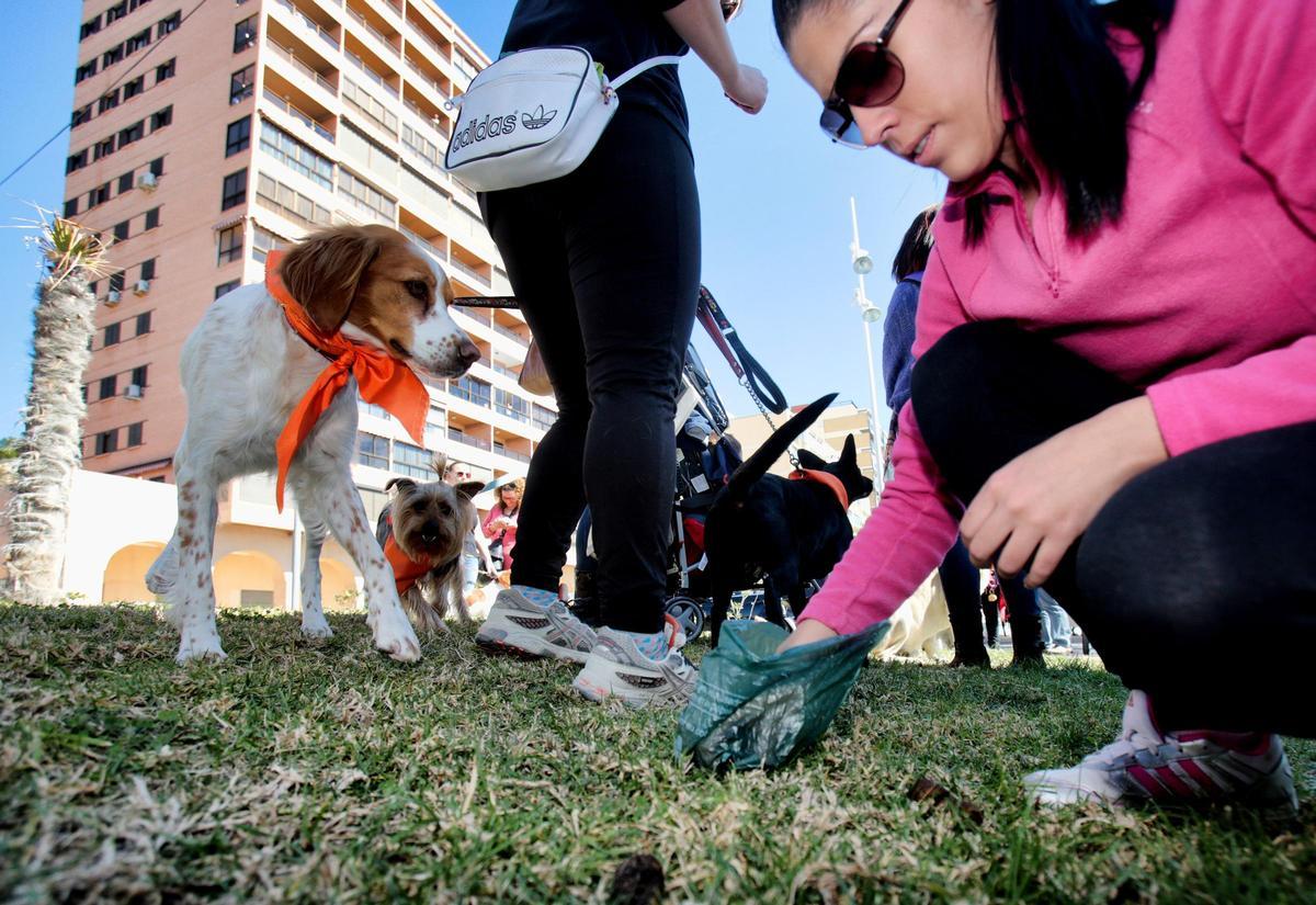 Una propietaria de perro recoge los excrementos de su mascota.