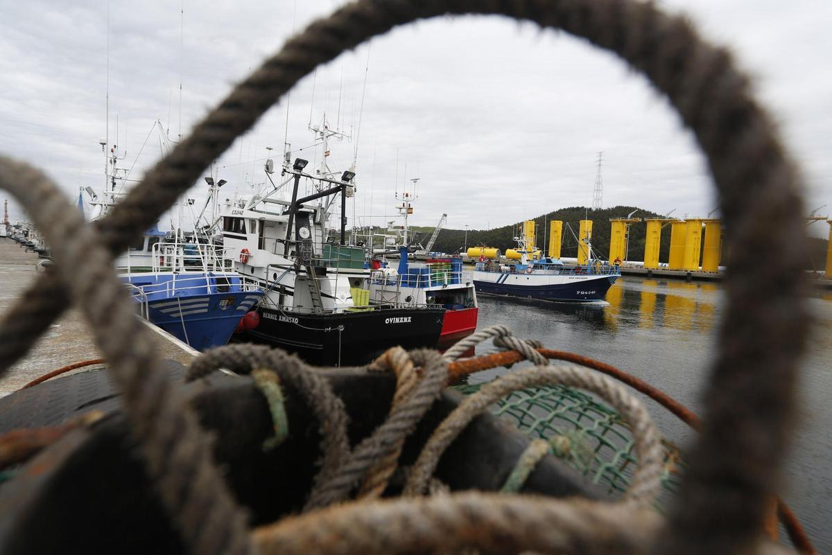 Barcos pesqueros atracados en el Puerto de Avilés, en una imagen de archivo.