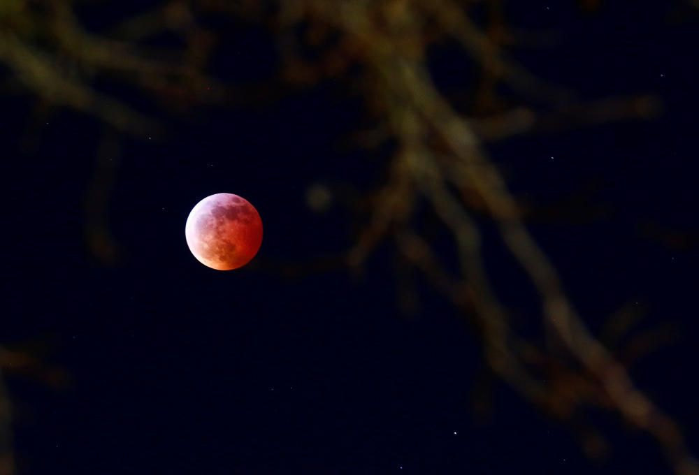 Les millors imatges de l''eclipsi de lluna