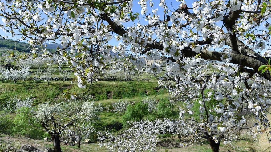 ¿Es cierto que &#039;la primavera, la sangre altera&#039;?