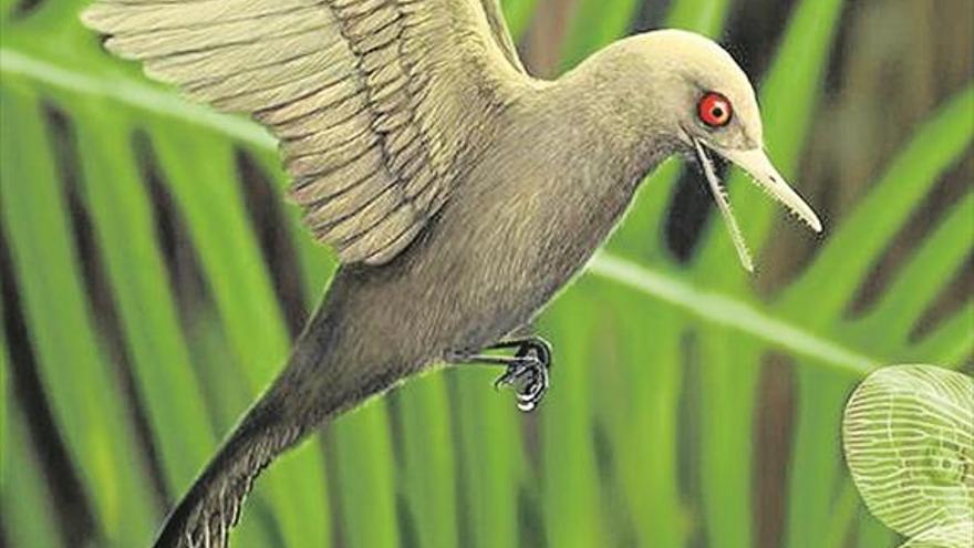 El dinosaurio más pequeño resiste 99 millones de años en ámbar - El Periódico Extremadura El dinosaurio más pequeño resiste 99 millones de años en ámbar - El Periódico Extremadura