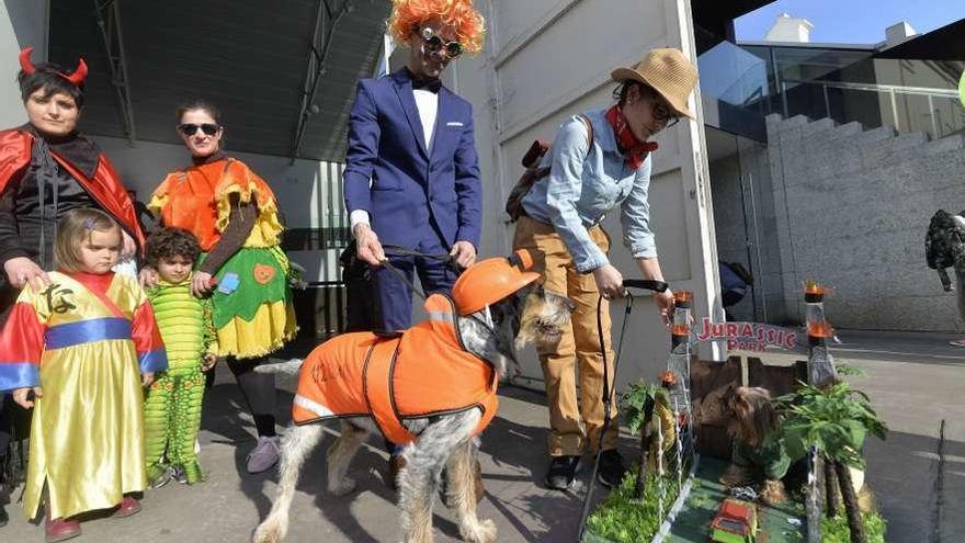 Algunos de los participantes en el concurso de mascotas disfrazadas.