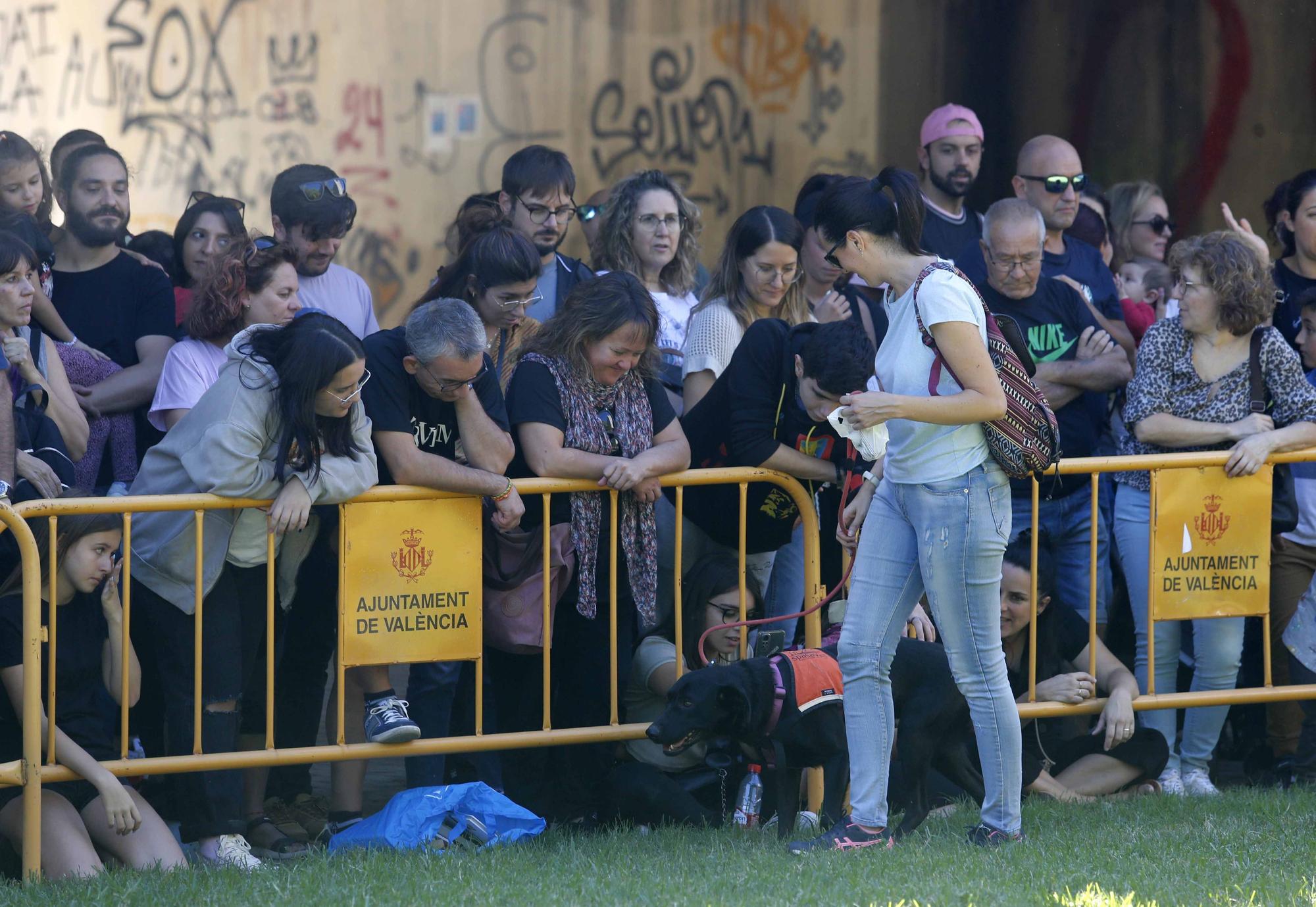 La Feria Animalista de València, en imágenes