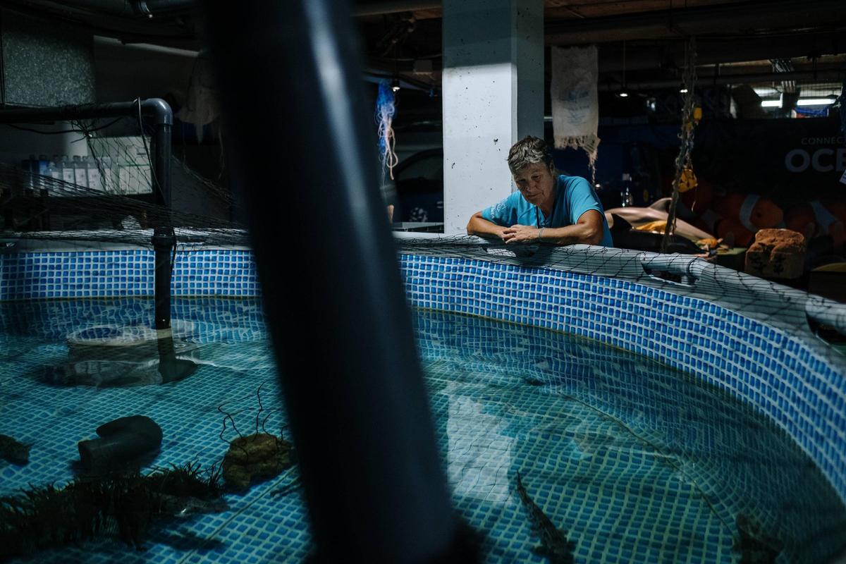 Debora Morrison junto al acuario de los alitanes.