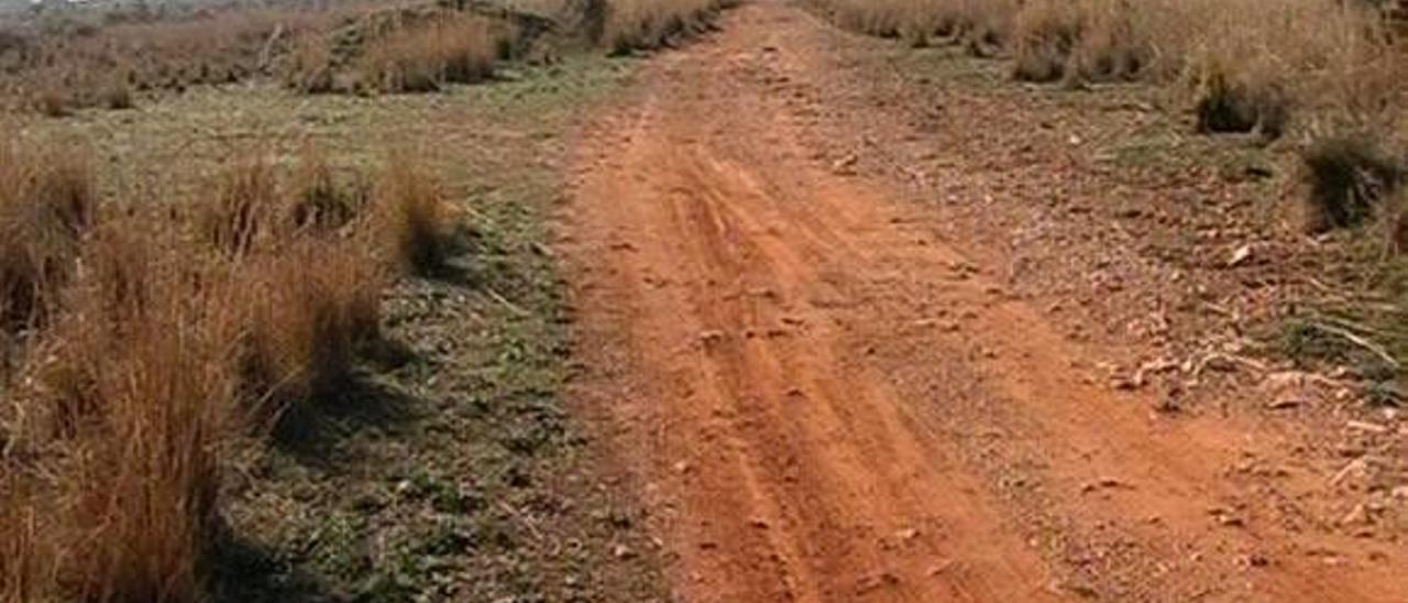 Ecologistas de Vinaròs presentan alegaciones al proyecto de Soterranyes