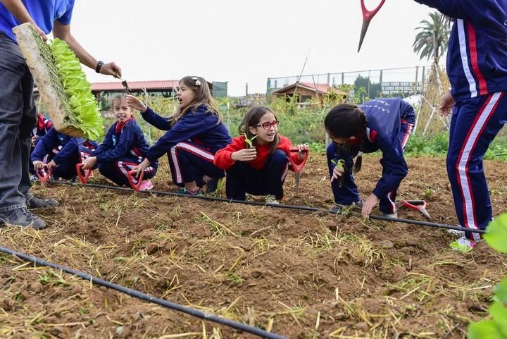 Visita escolar a la Granja Agricola del Cabildo