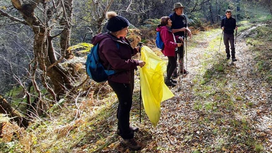 Cryosanabria impulsa la limpieza y recuperación del bosque autóctono