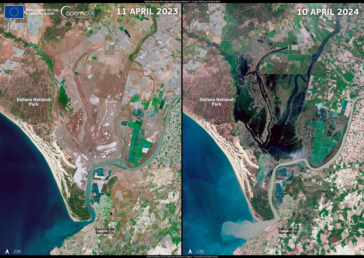 Imagen de satélite comparativa entre los meses de abril de 2023 y 2024 donde se aprecia la diferencia en los niveles de inundación de las marismas de Doñana.