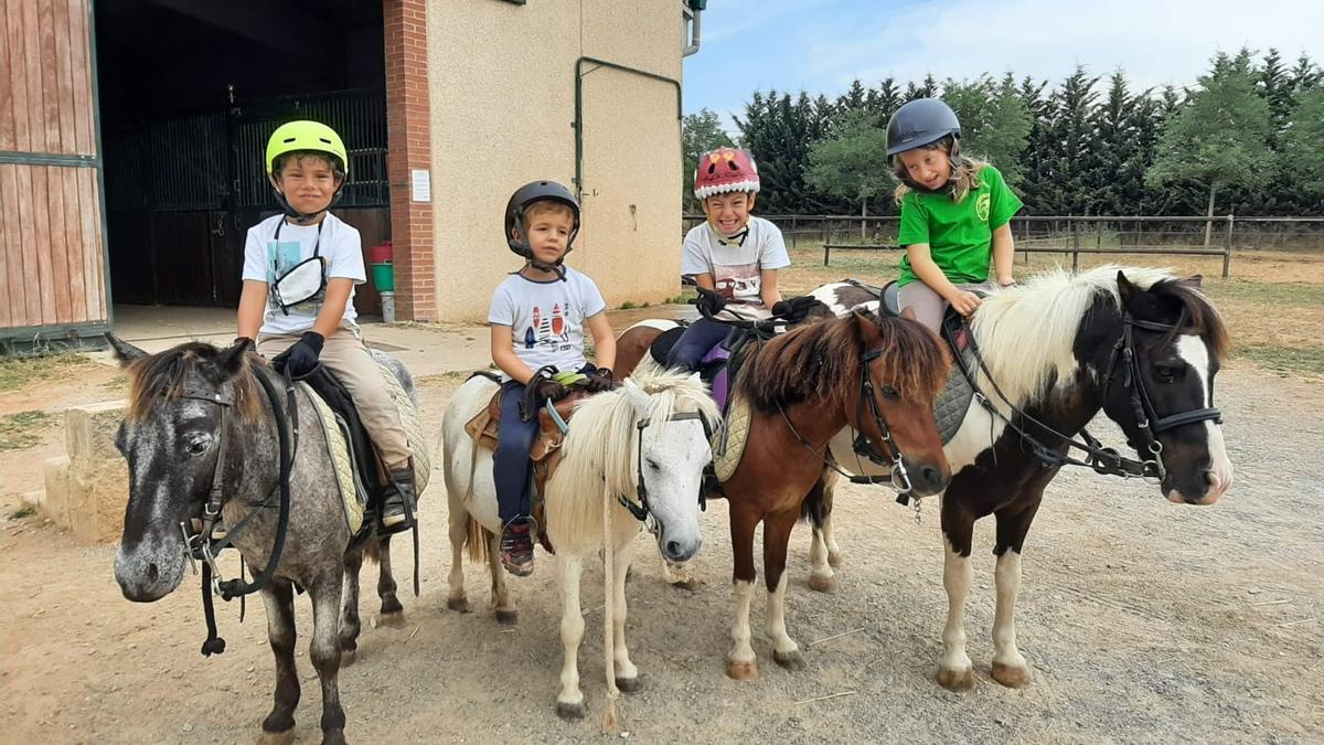 Nens i nenes amb ponis a l&#039;Equus Empordà.