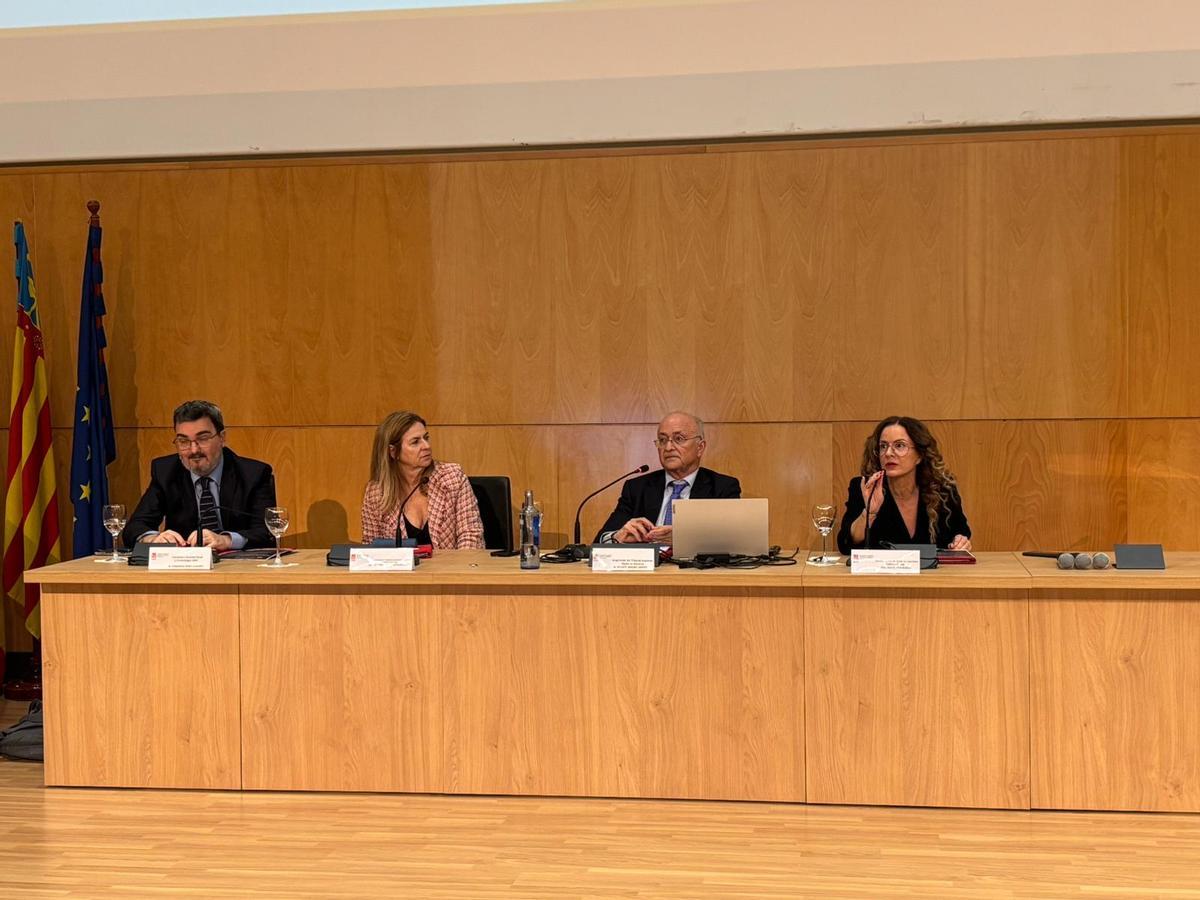 El magistrado defendió en Elche que una reforma legal debería especificar un margen temporal concreto