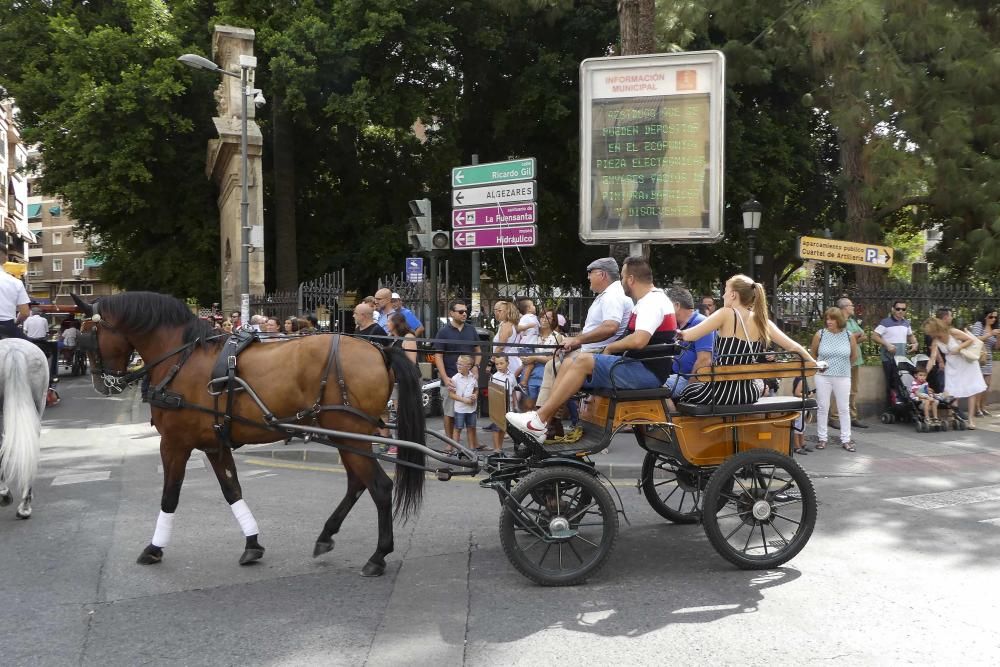 Desfile del Día del Caballo en Murcia