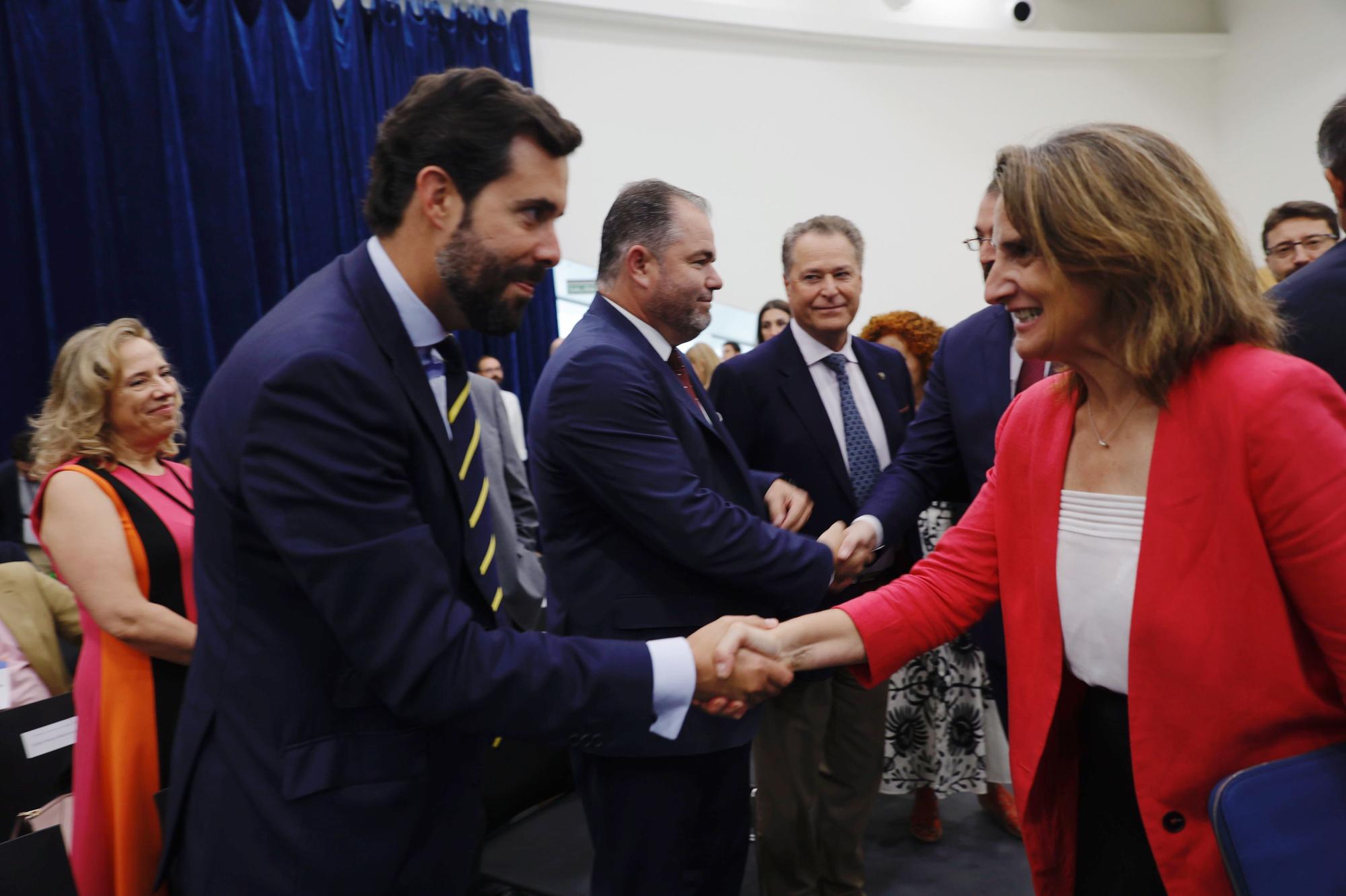 Teresa Ribera inaugura las jornadas para regiones carboneras en transición