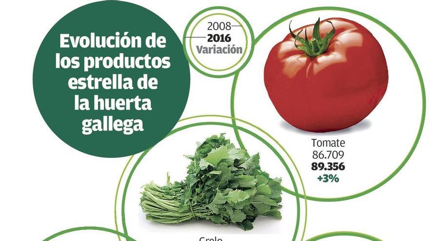 El aprecio de los consumidores por el producto local impulsa la huerta gallega