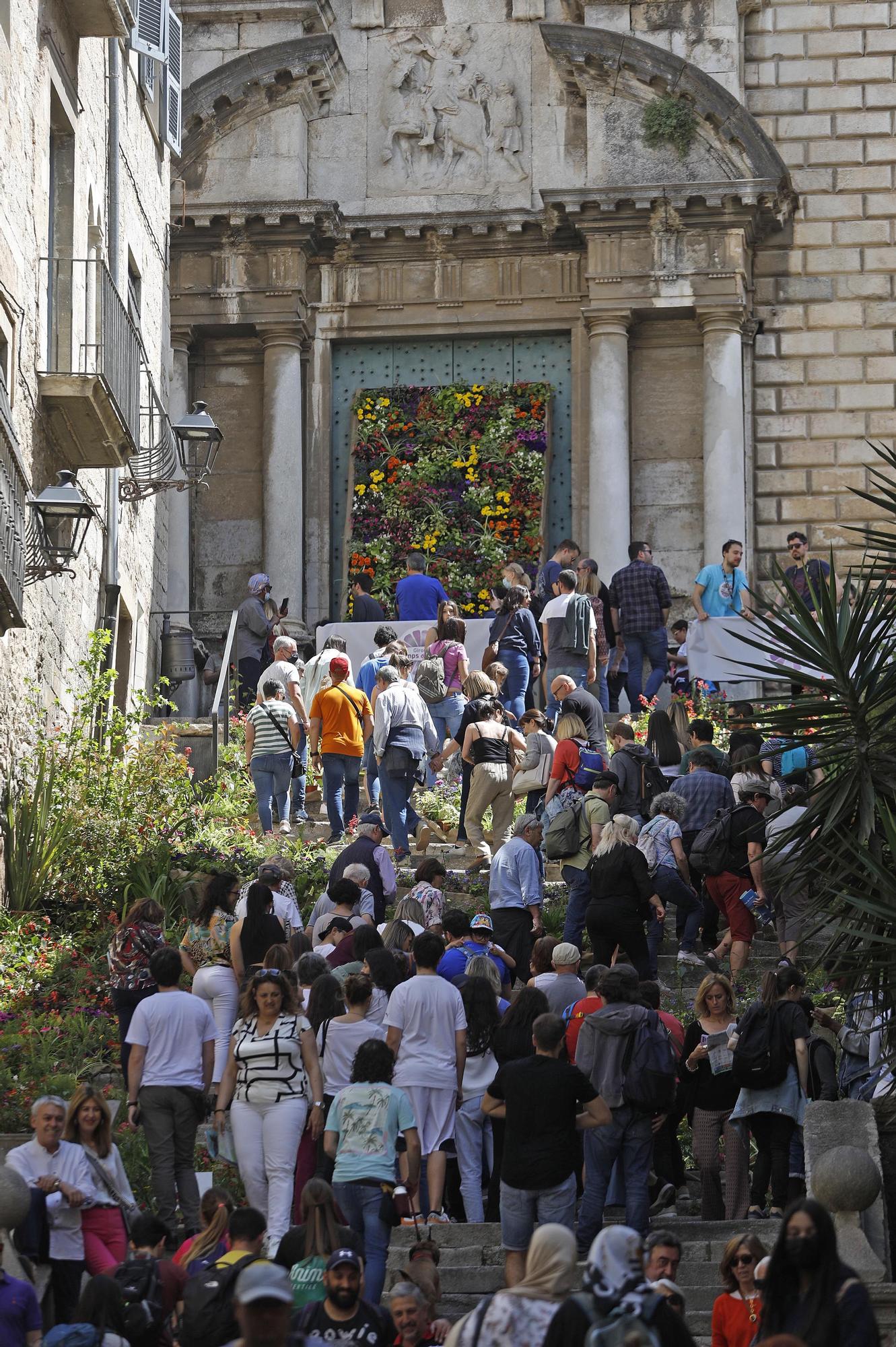 Girona es torna a omplir de color i riuades de gent en el retorn a la normalitat de Temps de Flors