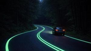 Malasia fue puntera en una medida cara, pero efectiva, en zonas sin iluminación artificial.