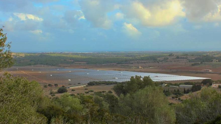 Recreación virtual de cómo se vería la instalación de Manacor desde el lado opuesto de la carretera a Porto Cristo.