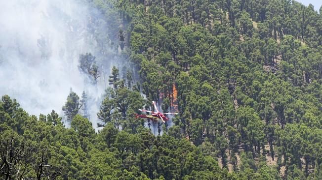 EL INCENDIO DE LA PALMA SIGUE QUEMANDO MAZO PERO ...