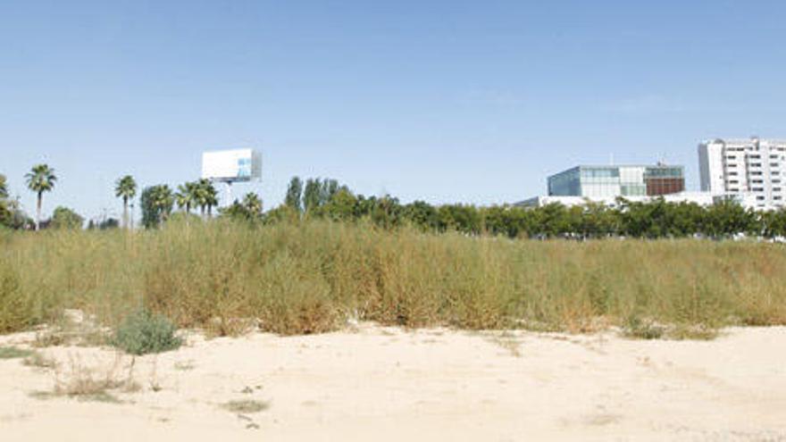 El solar donde iba a levantar una clínica la Universidad Católica volverá a ser escolar