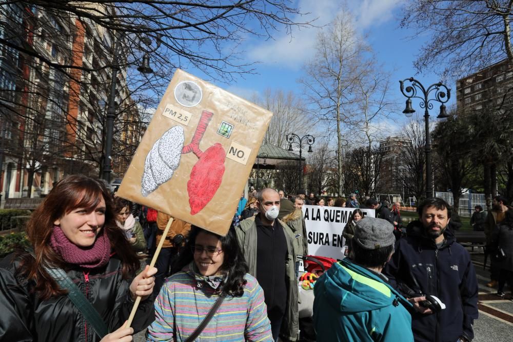 Manifestación en las calles de Gijón contra la contaminación en Asturias