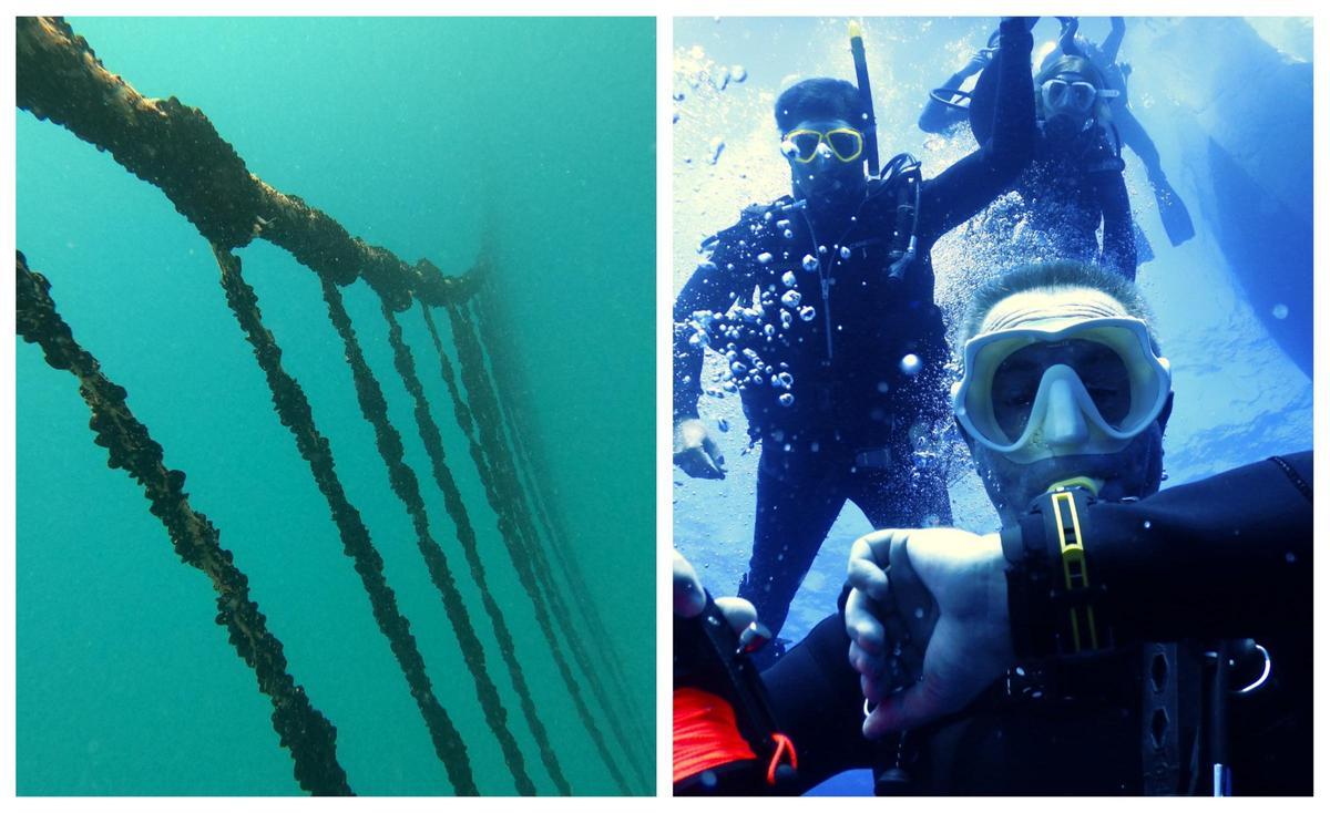 En la izquierda, imagen del cultivo de mejillones; a la derecha, buceadores de Barracuda que lo están haciendo posible.