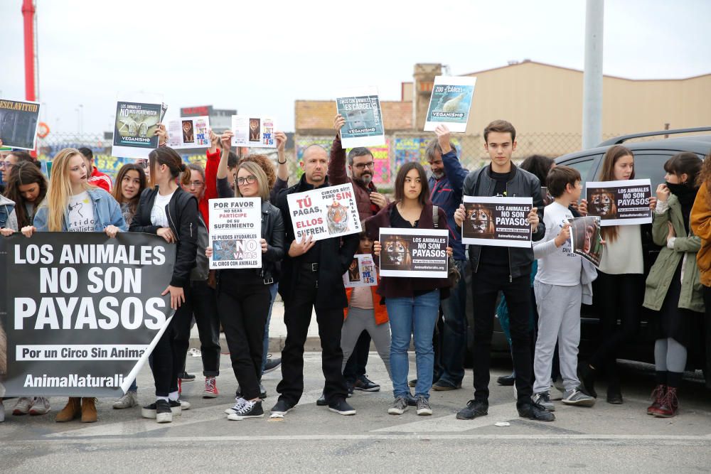 Protesta contra un circo con animales en Alfafar