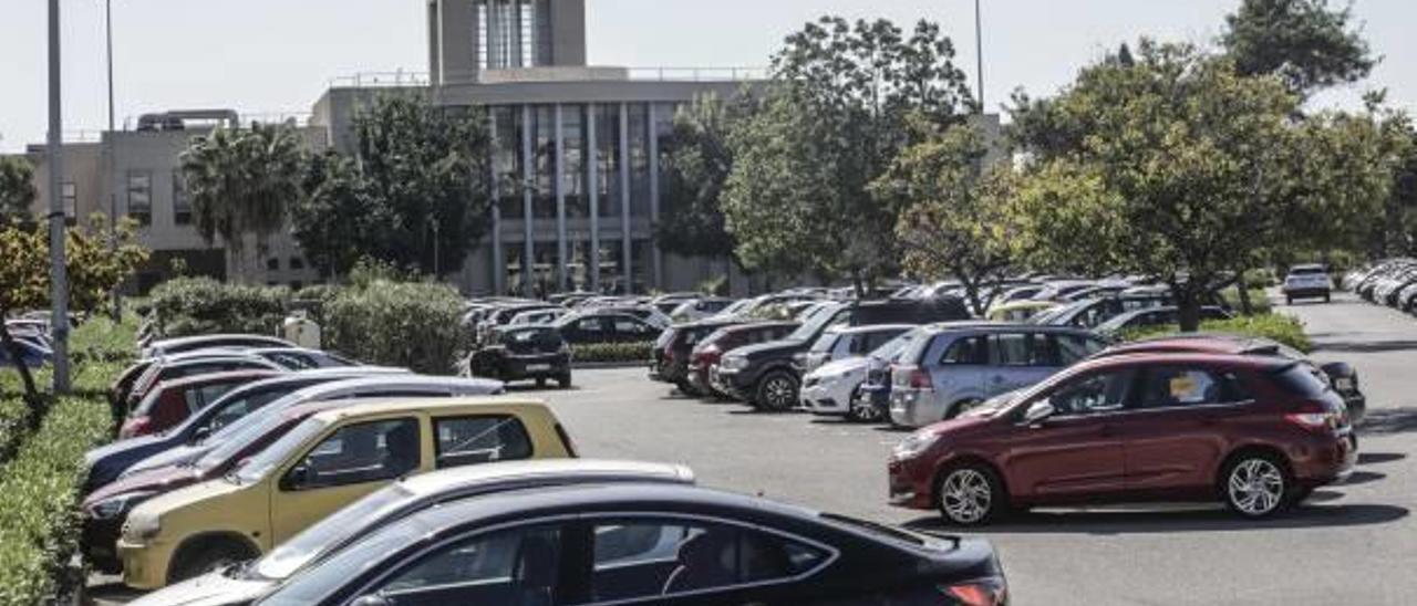 El complicado acceso al campus de la UMH en Sant Joan provoca que se use más el vehículo privado que el transporte público.