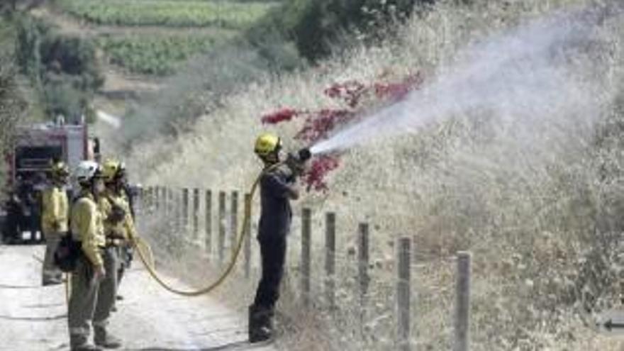 Feuerwehrleute im Einsatz am Parc Bit