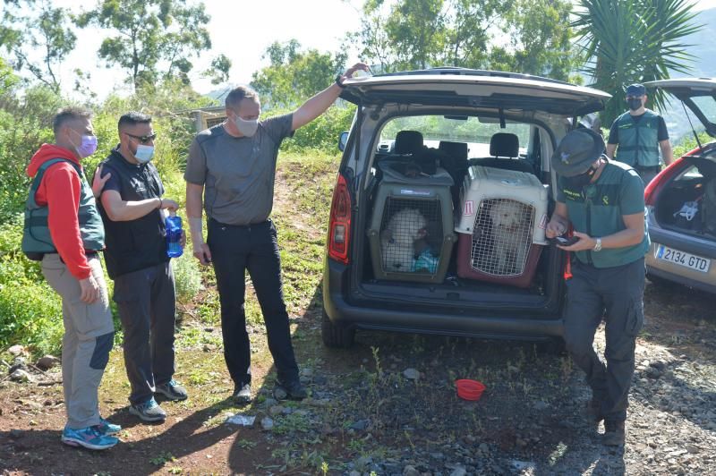 Búsqueda del taxista de Teror desaparecido