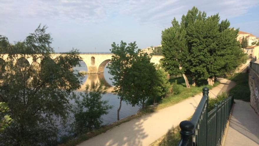 El puente de piedra, esta mañana.